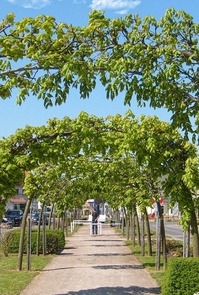 Rügen Ostseebad Baabe
