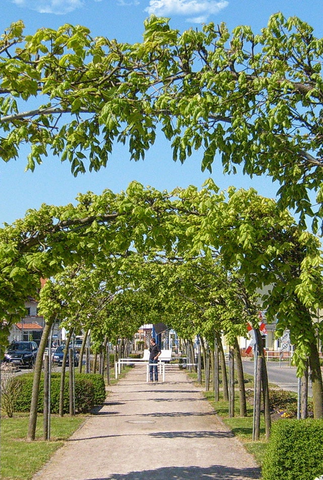 Rügen Ostseebad Baabe