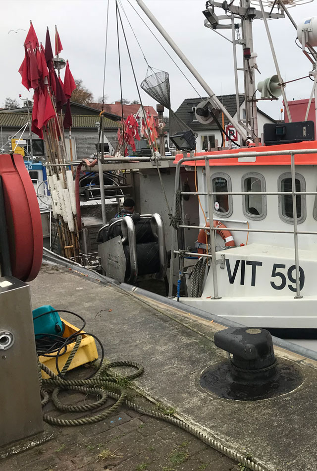 Schaprode Fischkutter im Hafen